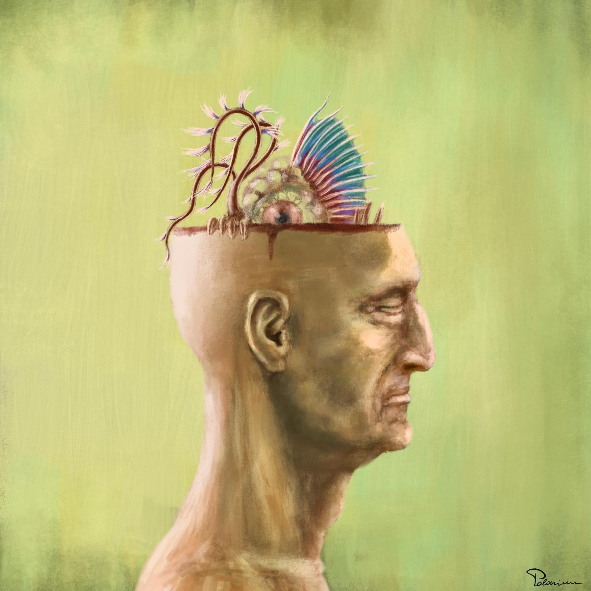 False Anatomy